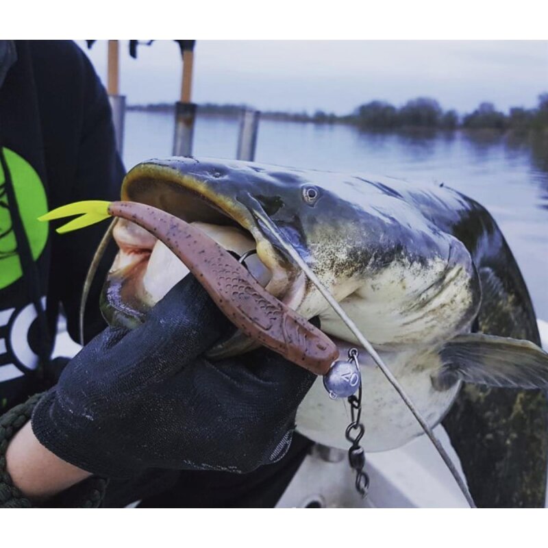 K.P Baits XO Minnow 6,5" Vertikal No Action Shad Zander Hecht 5 Stück