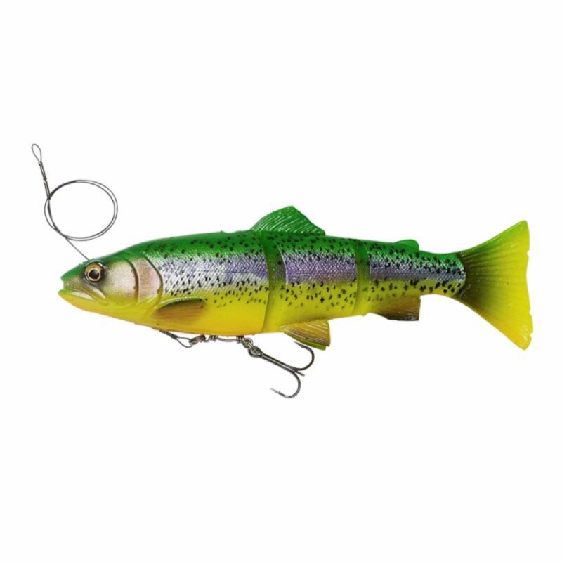 Savage Gear 4D Line Thru Trout 25 cm MS 193 Gramm
