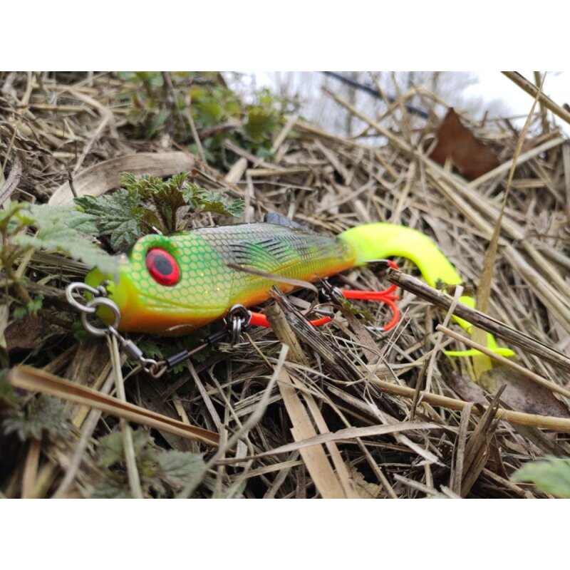 Major Fish Shallow Rig mit BKK Drillingen