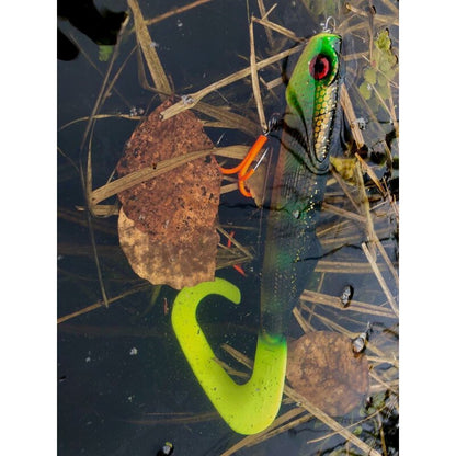 Major Fish Shallow Rig mit BKK Drillingen