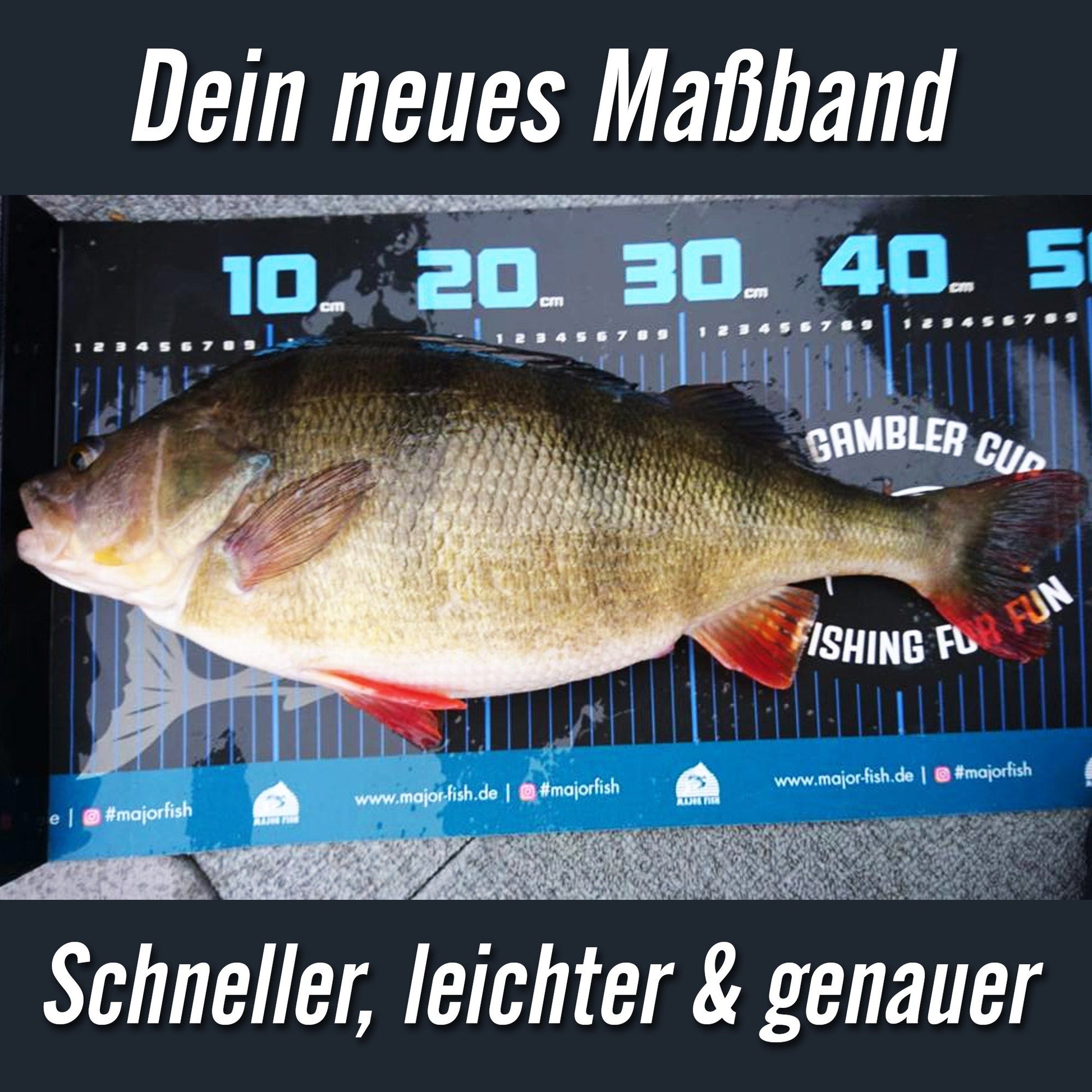 Major Fish Massband XL Scale 140cm x 30cm 4